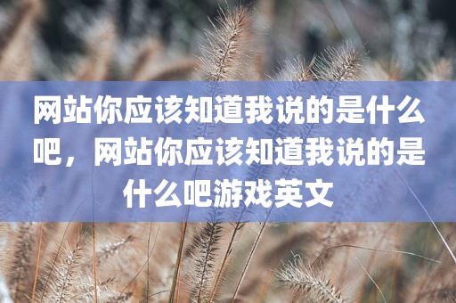 网站你应该知道我说的是什么吧，网站你应该知道我说的是什么吧游戏英文