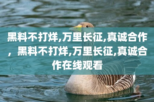 黑料不打烊,万里长征,真诚合作，黑料不打烊,万里长征,真诚合作在线观看