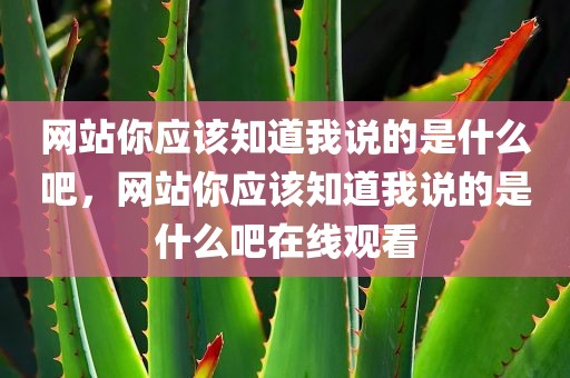 网站你应该知道我说的是什么吧，网站你应该知道我说的是什么吧在线观看