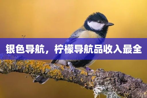 银色导航，柠檬导航品收入最全