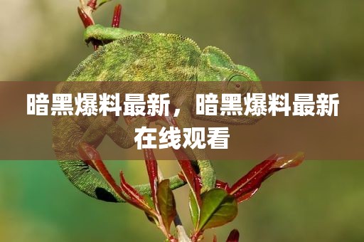 暗黑爆料最新，暗黑爆料最新在线观看