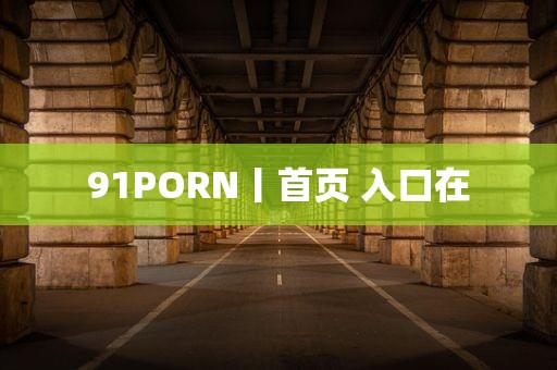 91PORN丨首页 入口在