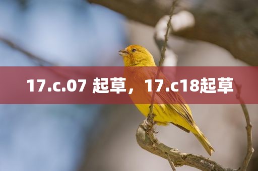 17.c.07 起草，17.c18起草