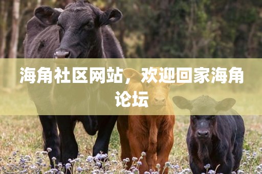 海角社区网站，欢迎回家海角论坛