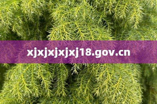 xjxjxjxjxj18.gov.cn