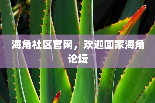 海角社区官网，欢迎回家海角论坛