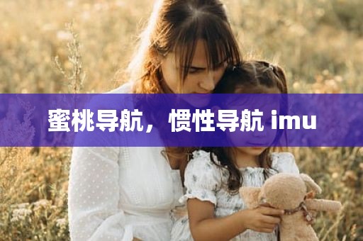 蜜桃导航，惯性导航 imu