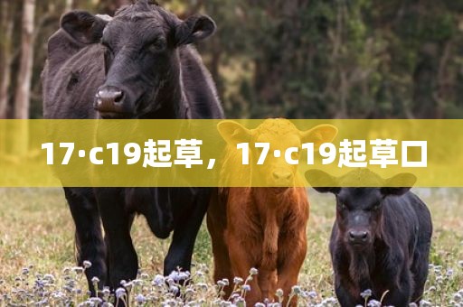 17·c19起草，17·c19起草口