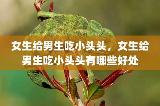女生给男生吃小头头，女生给男生吃小头头有哪些好处