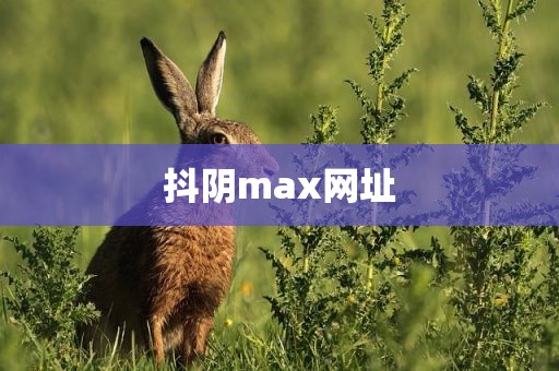抖阴max网址
