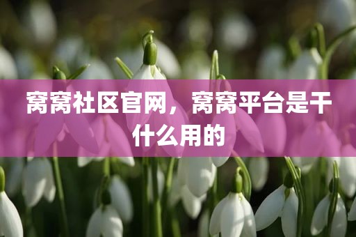 窝窝社区官网，窝窝平台是干什么用的