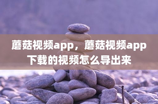 蘑菇视频app，蘑菇视频app下载的视频怎么导出来