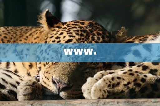 www.