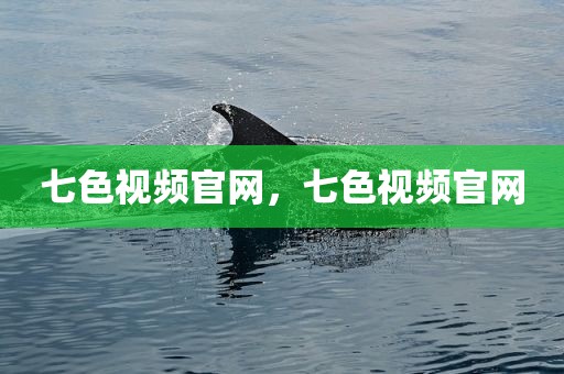 七色视频官网，七色视频官网