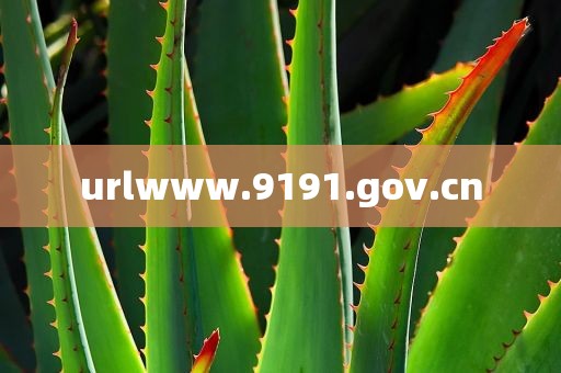 urlwww.9191.gov.cn