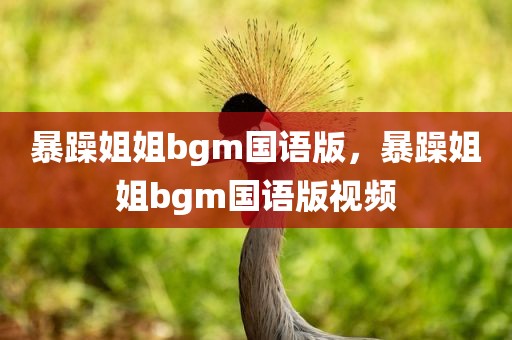 暴躁姐姐bgm国语版，暴躁姐姐bgm国语版视频