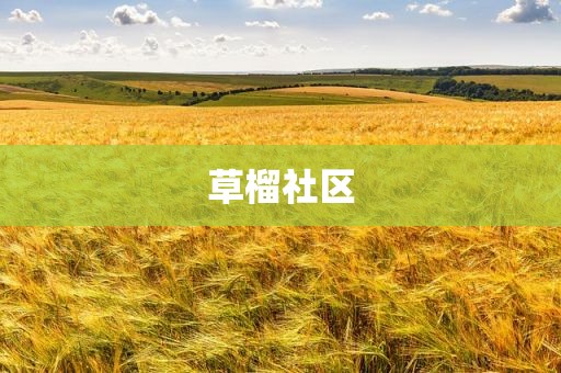 草榴社区