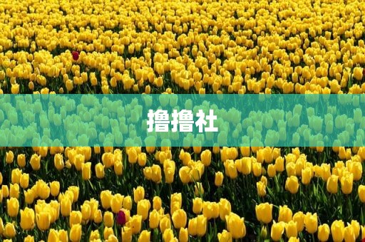 撸撸社
