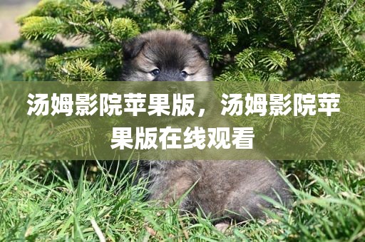 汤姆影院苹果版，汤姆影院苹果版在线观看