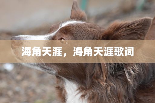 海角天涯，海角天涯歌词