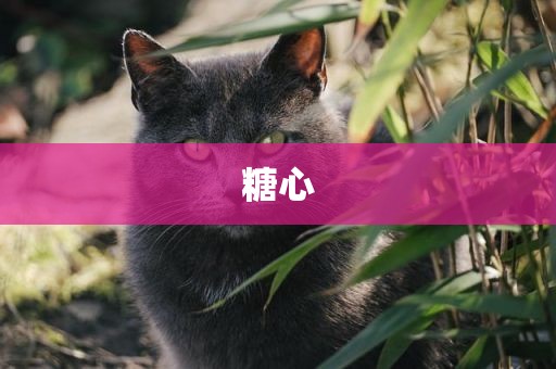 糖心