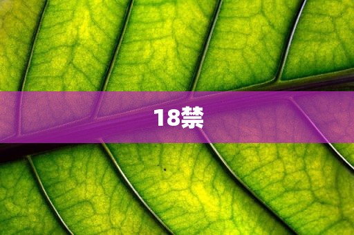 18禁
