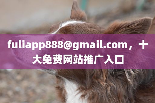 fuliapp888@gmail.com，十大免费网站推广入口