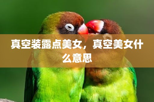 真空装露点美女，真空美女什么意思