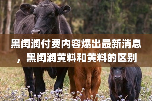 黑闰润付费内容爆出最新消息，黑闰润黄料和黄料的区别
