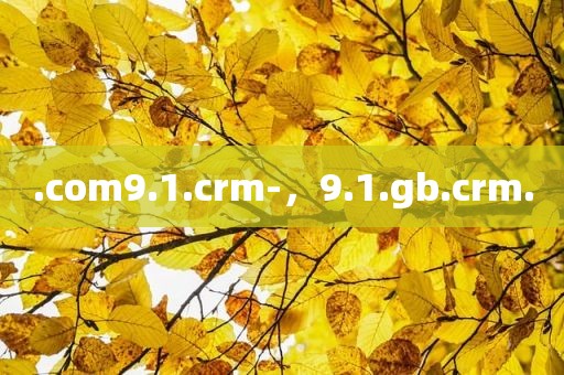 .com9.1.crm-，9.1.gb.crm.