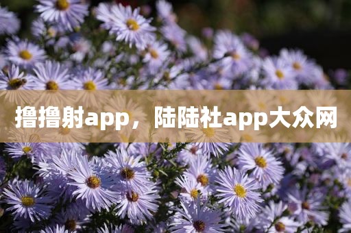 撸撸射app，陆陆社app大众网