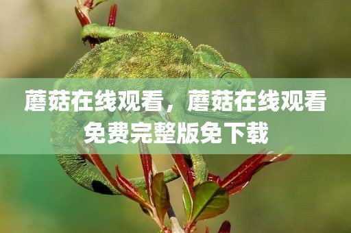 蘑菇在线观看，蘑菇在线观看免费完整版免下载