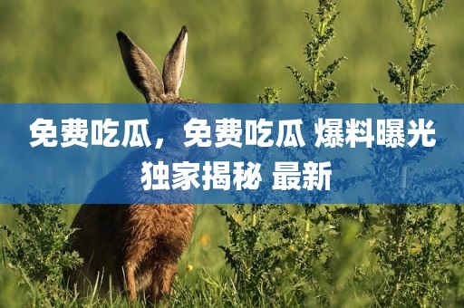 免费吃瓜，免费吃瓜 爆料曝光 独家揭秘 最新