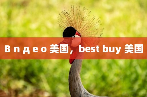 B n д e o 美国，best buy 美国