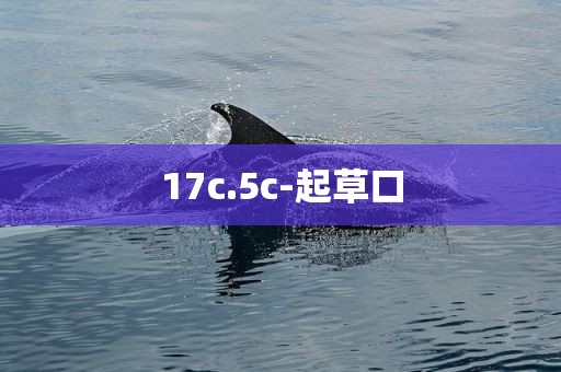 17c.5c-起草口