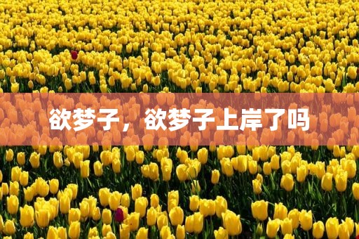 欲梦子，欲梦子上岸了吗