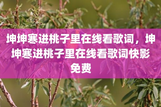 坤坤寒进桃子里在线看歌词，坤坤寒进桃子里在线看歌词快影免费