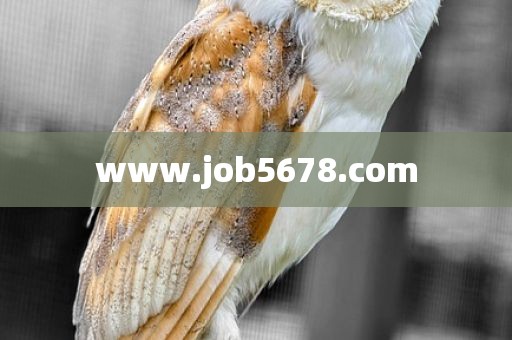 www.job5678.com