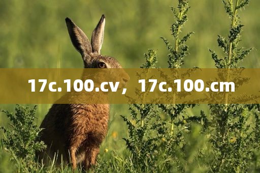 17c.100.cv，17c.100.cm