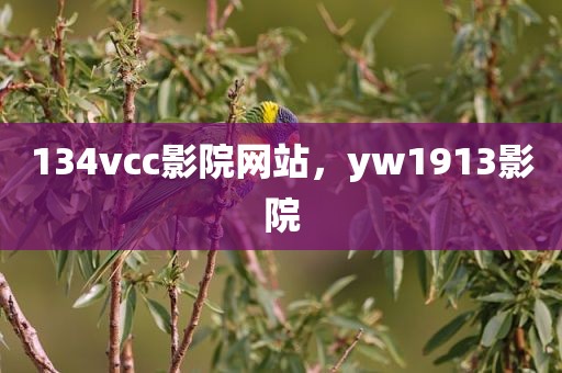 134vcc影院网站，yw1913影院