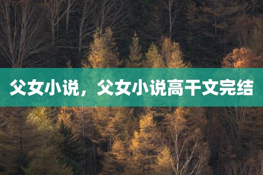 父女小说，父女小说高干文完结