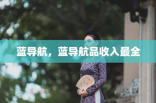 蓝导航，蓝导航品收入最全