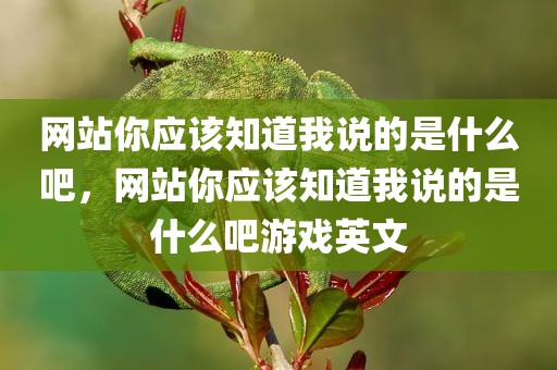 网站你应该知道我说的是什么吧，网站你应该知道我说的是什么吧游戏英文