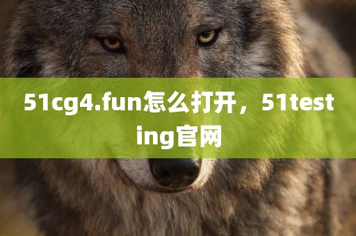 51cg4.fun怎么打开，51testing官网