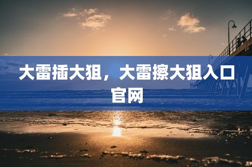 大雷插大狙，大雷擦大狙入口官网