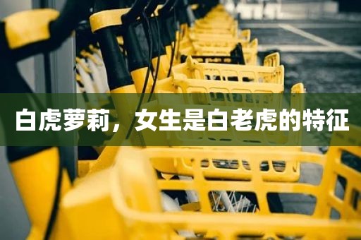 白虎萝莉，女生是白老虎的特征