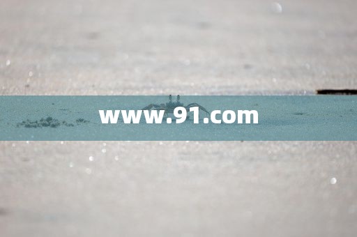 www.91.com