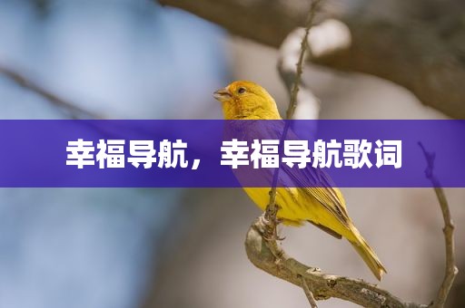幸福导航，幸福导航歌词