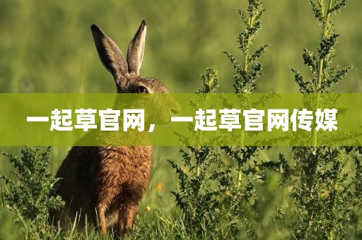 一起草官网，一起草官网传媒
