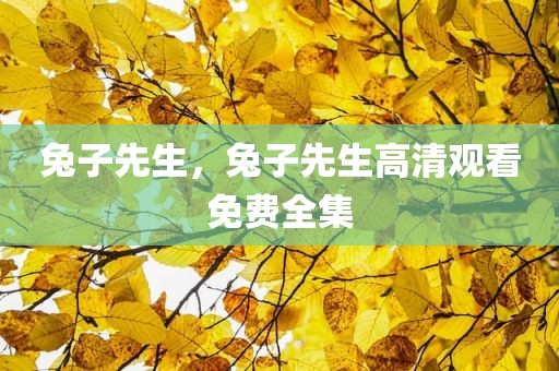兔子先生，兔子先生高清观看免费全集